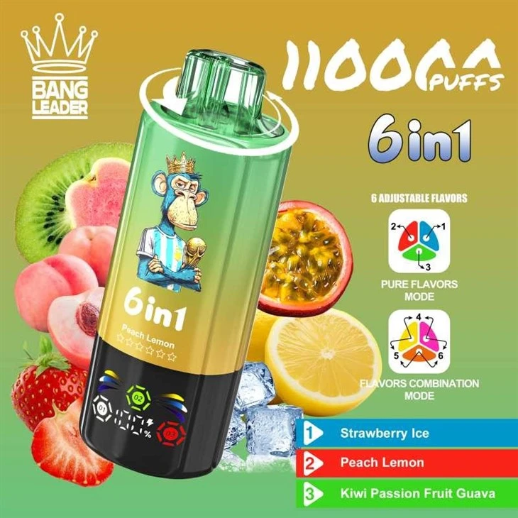 Bang Leader 110K Puffs price Bang Leader 110K Puffs price