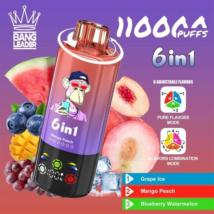 Bang Leader 110K Puffs price Bang Leader 110K Puffs price