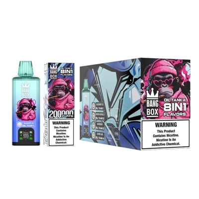 BANG BOX 200K 일회용 Vape – 고용량, 충전식 및 장기간 사용을 위해 선호되는 선택-