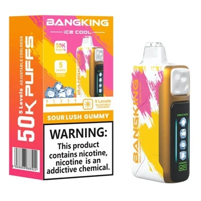 BANGKING ICE COOL 60K 대용량-일회용 충전식 조절 가능 얼음 전자 기화기