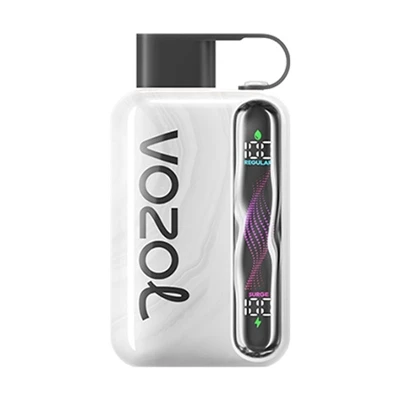 VOZOL STAR 40000 일회용 전자-담배: 대용량과 탁월한 경험의 완벽한 조합.