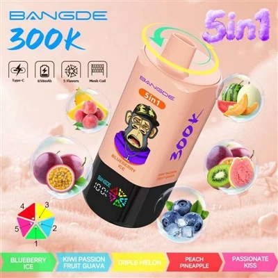 BANG DE 5IN1 300K: 하나의 기기, 다섯 가지 맛, 300,000번의 매우-긴 배터리 수명