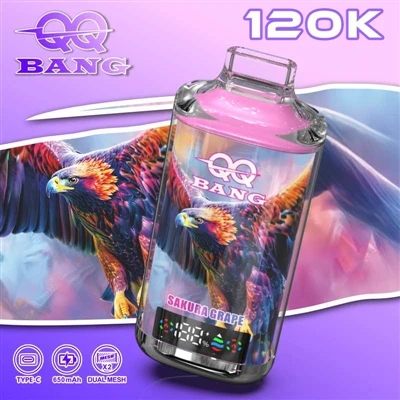 QQ BANG 120K: 더 강력하진 않지만 더 안정적인 진화