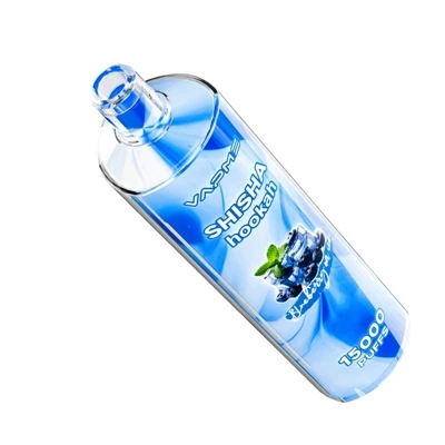 Vapme Shisha Hookah 15000: 가볍고 오래 지속되는{1}}'물담배 경험'을 지향하는 베이핑 솔루션