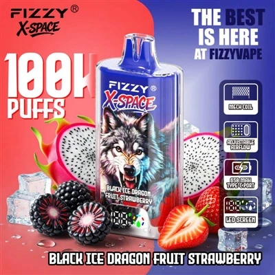 Fizzy X Space 100K: 베이핑이 '초-장기 내구성' 시대로 접어들면서 사용자가 진정으로 원하는 것은 무엇입니까?