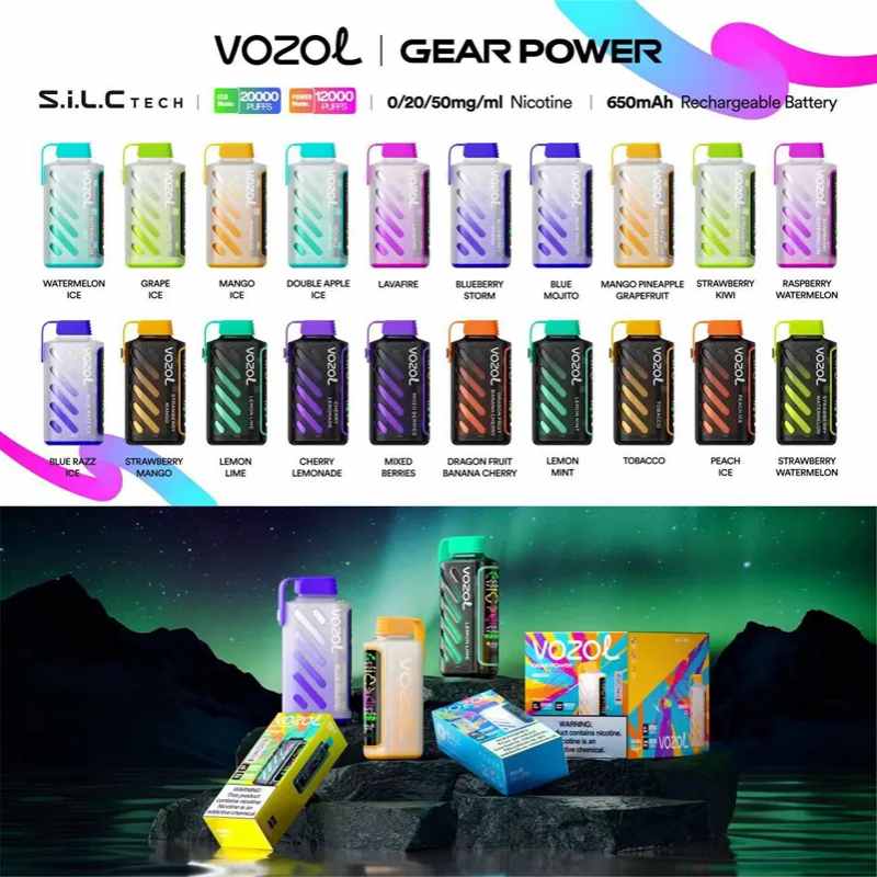 VOZOL GEAR POWER 20000 25