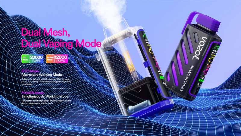 VOZOL GEAR POWER 20000 1