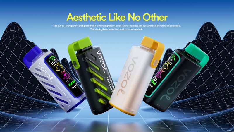 VOZOL GEAR POWER 20000 3