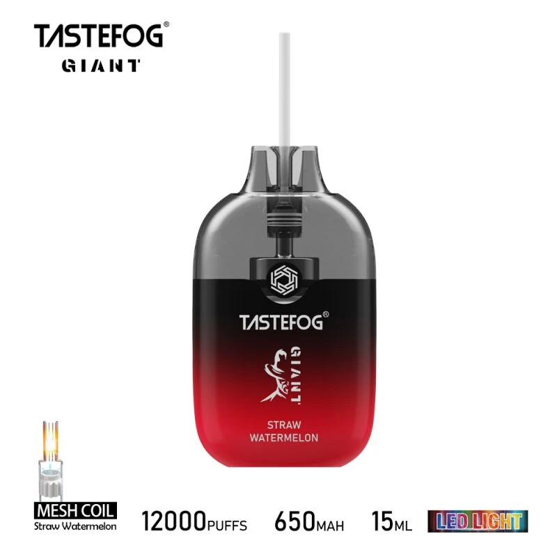 TASTEFOG GIANT 12000