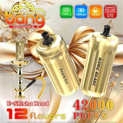 Bang Blaze E-Shisha Head 42000 퍼프