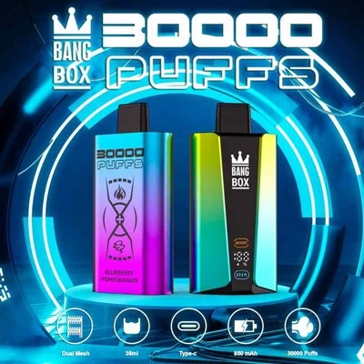 뱅 박스 30000 퍼프 Vape