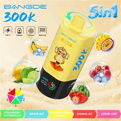 뱅드 5인치1 300000