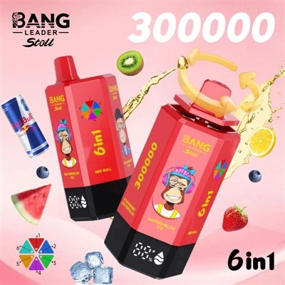 뱅리더 300000