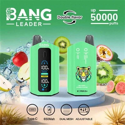 뱅 리더 50000 퍼프 vape