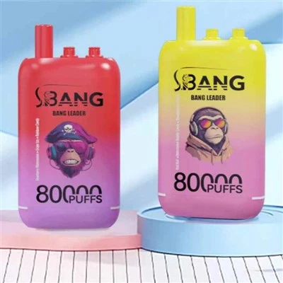 뱅 리더 80k 퍼프 vape