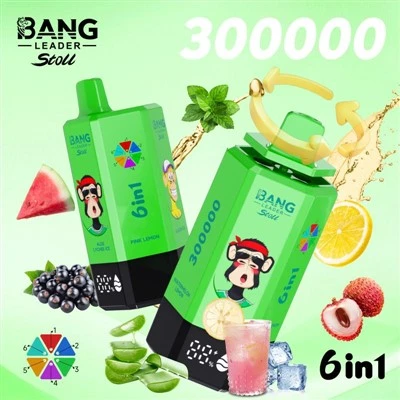 뱅리더 스톨 300000