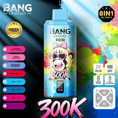 뱅 레전드 300K