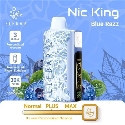 엘프 바 Nic King 30000