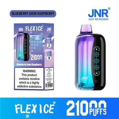 JNR Flex Ice 21000 얼음 조절 가능