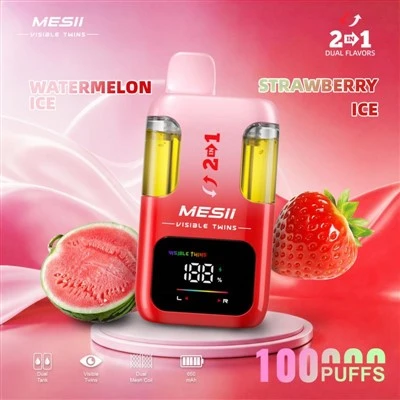 MESII 가시적 쌍둥이 100K