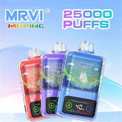 MRVI 이사 25000