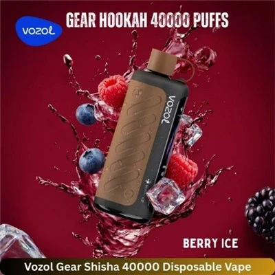VOZOL 기어 물담배 40000 퍼프