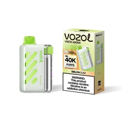 VOZOL VISTA 40000 퍼프