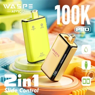 와스프 더블 플레이버 100K Pro 2 in 1
