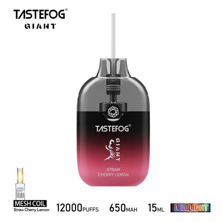 TASTEFOG GIANT 12000 1
