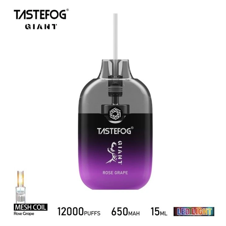 TASTEFOG GIANT 12000 9