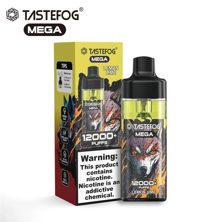 TASTEFOG MEGA 12000 1 TASTEFOG MEGA 12000 1