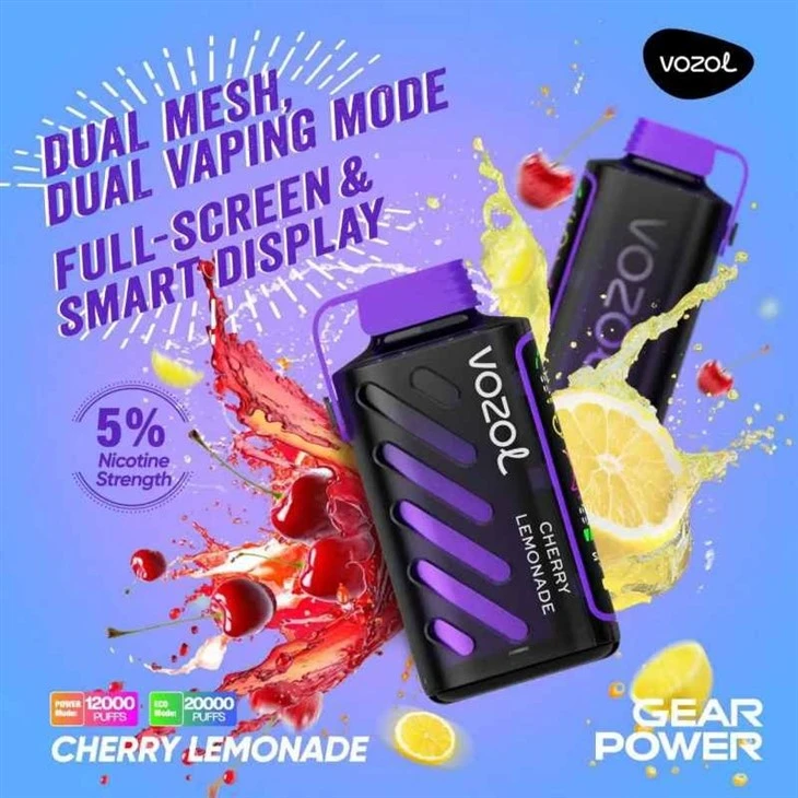 VOZOL GEAR POWER 20000 20 VOZOL GEAR POWER 20000 20